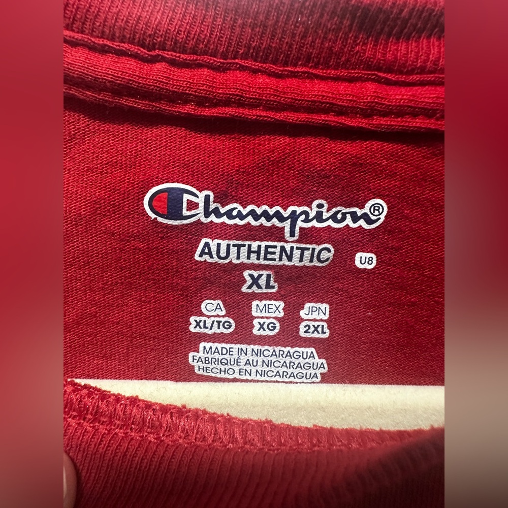 Champion Saint Joesph’s University Dad T-Shirt - Picture 3 of 5